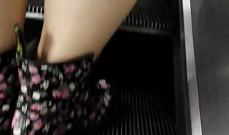 سبک سگی در جوراب ساق بلند جوجه می کند عکس کونوکوس